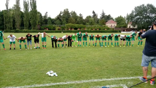 03.06.2017 SV Grün-Weiß Wörlitz vs. Grün Weiß Dessau