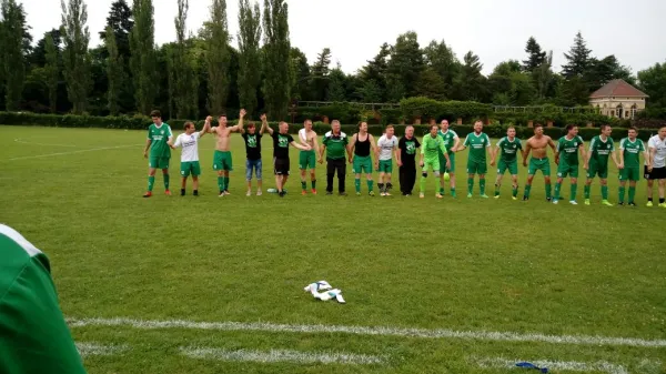 03.06.2017 SV Grün-Weiß Wörlitz vs. Grün Weiß Dessau