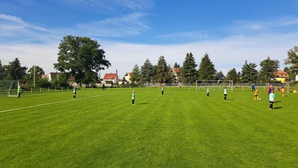 07.09.2025 SG Coswig/Klieken vs. SV Grün-Weiß Wörlitz