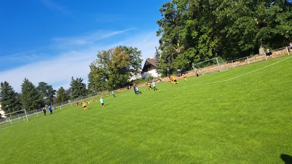 07.09.2025 SG Coswig/Klieken vs. SV Grün-Weiß Wörlitz