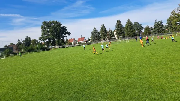 07.09.2025 SG Coswig/Klieken vs. SV Grün-Weiß Wörlitz