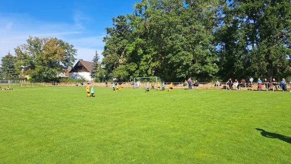 07.09.2025 SG Coswig/Klieken vs. SV Grün-Weiß Wörlitz