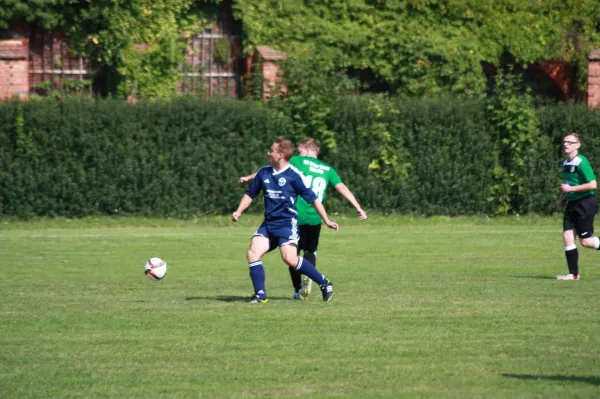 22.08.2015 SV Grün-Weiß Wörlitz vs. Dessauer SV 97