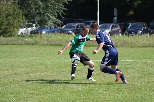 22.08.2015 SV Grün-Weiß Wörlitz vs. Dessauer SV 97