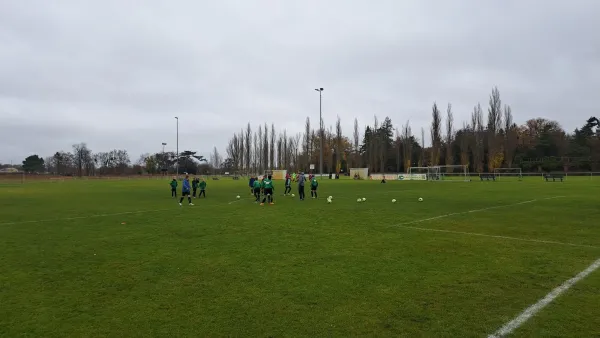 15.11.2025 SV Grün-Weiß Wörlitz vs. SV Rot-Weiß Kemberg II