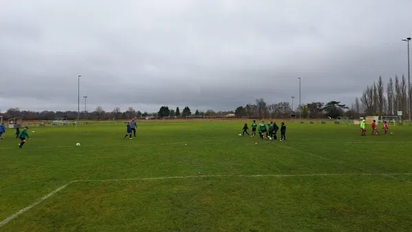 15.11.2025 SV Grün-Weiß Wörlitz vs. SV Rot-Weiß Kemberg II