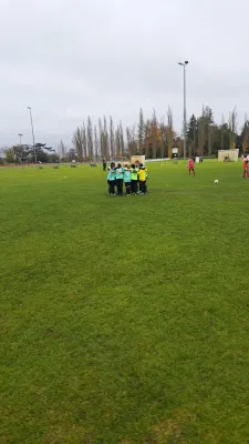 15.11.2025 SV Grün-Weiß Wörlitz vs. SV Rot-Weiß Kemberg II