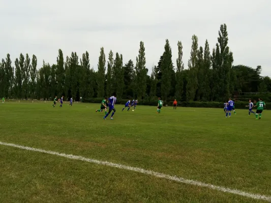 23.07.2016 SV Grün-Weiß Wörlitz vs. Turbine Zschornewitz