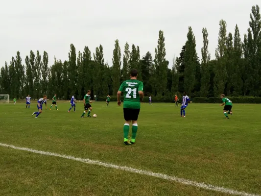 23.07.2016 SV Grün-Weiß Wörlitz vs. Turbine Zschornewitz