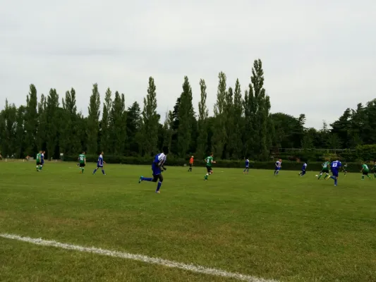 23.07.2016 SV Grün-Weiß Wörlitz vs. Turbine Zschornewitz