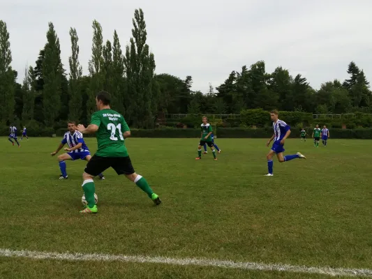 23.07.2016 SV Grün-Weiß Wörlitz vs. Turbine Zschornewitz