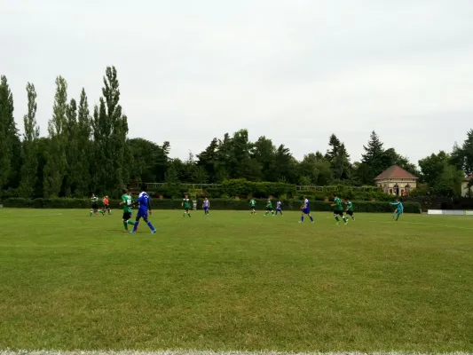 23.07.2016 SV Grün-Weiß Wörlitz vs. Turbine Zschornewitz