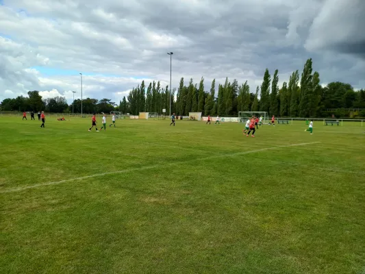 24.08.2025 SV Grün-Weiß Wörlitz vs. NSG Lutherkicker