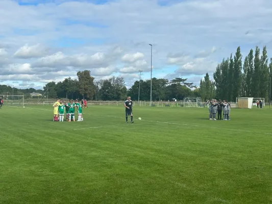 14.09.2025 SV Grün-Weiß Wörlitz vs. SG Nudersdorf