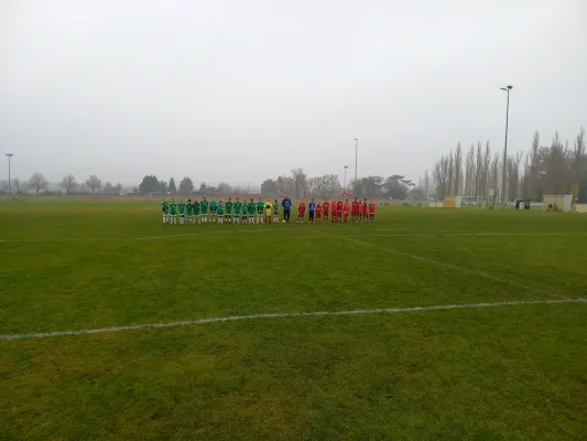 08.11.2025 SV Grün-Weiß Wörlitz vs. Bad Schmiedeberg