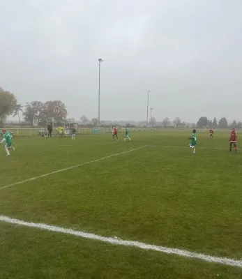 08.11.2025 SV Grün-Weiß Wörlitz vs. Bad Schmiedeberg