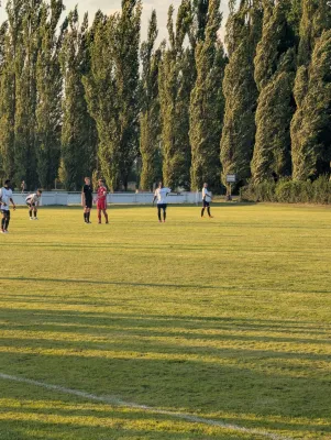 23.07.2026 SV Grün-Weiß Wörlitz vs. TSV Rot-Weiß Zerbst