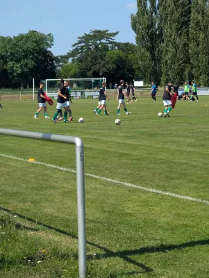25.07.2026 SV Grün-Weiß Wörlitz vs. Klödener SV