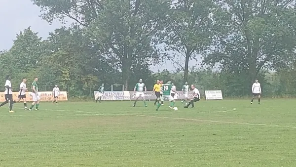 01.08.2026 SV Friedersdorf vs. SV Grün-Weiß Wörlitz