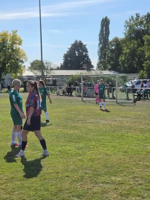 27.09.2026 SV Grün-Weiß Wörlitz vs. Hellas 09 Oranienbaum