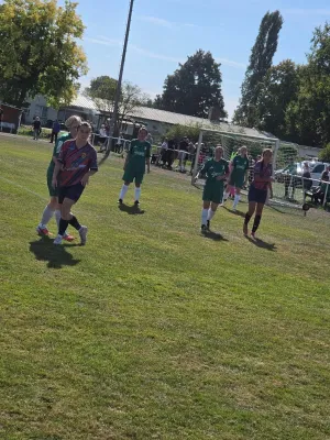 27.09.2026 SV Grün-Weiß Wörlitz vs. Hellas 09 Oranienbaum