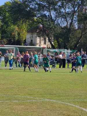 27.09.2026 SV Grün-Weiß Wörlitz vs. Hellas 09 Oranienbaum