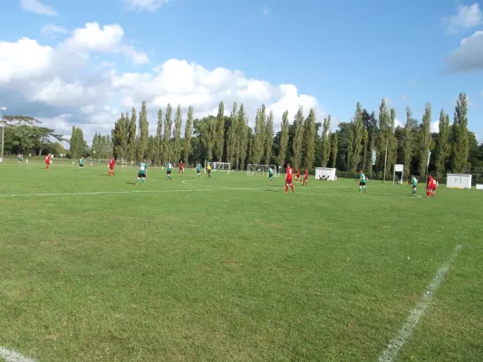 02.10.2016 SV Grün-Weiß Wörlitz II vs. Empor Waldersee II