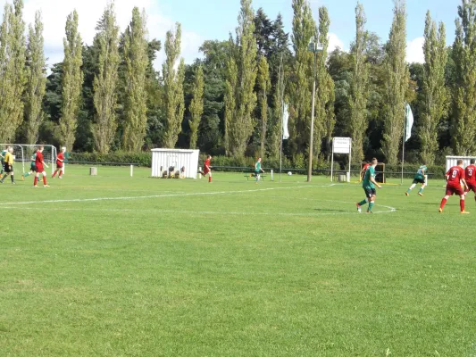 02.10.2016 SV Grün-Weiß Wörlitz II vs. Empor Waldersee II