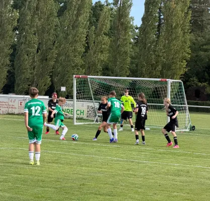 23.08.2026 SV Grün-Weiß Wörlitz vs. Allemannia Jessen
