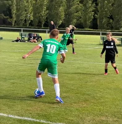 23.08.2026 SV Grün-Weiß Wörlitz vs. Allemannia Jessen