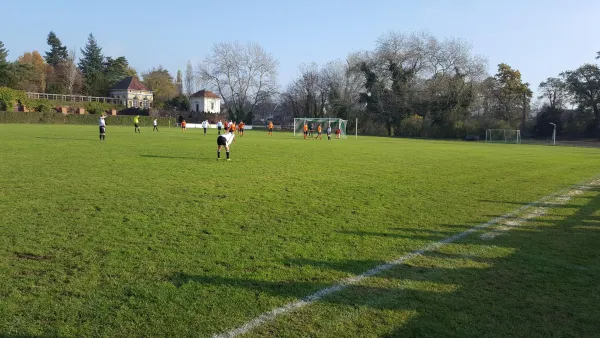 12.11.2016 SV Grün-Weiß Wörlitz II vs. TUS Kochstedt II