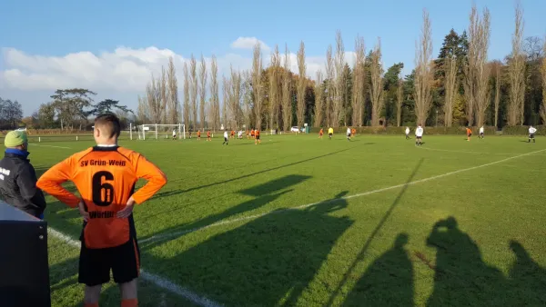 12.11.2016 SV Grün-Weiß Wörlitz II vs. TUS Kochstedt II