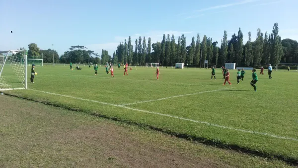 21.08.2016 SV Grün-Weiß Wörlitz vs. TSV Rot-Weiß Zerbst