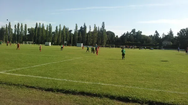 21.08.2016 SV Grün-Weiß Wörlitz vs. TSV Rot-Weiß Zerbst