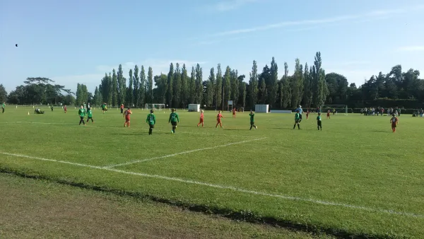 21.08.2016 SV Grün-Weiß Wörlitz vs. TSV Rot-Weiß Zerbst