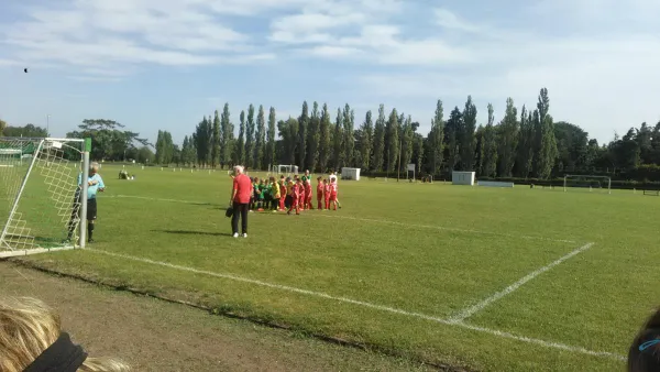 21.08.2016 SV Grün-Weiß Wörlitz vs. TSV Rot-Weiß Zerbst