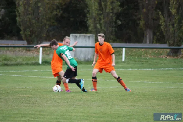 07.11.2015 SV Grün-Weiß Wörlitz vs. Chemie Rodleben II