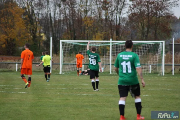 07.11.2015 SV Grün-Weiß Wörlitz vs. Chemie Rodleben II