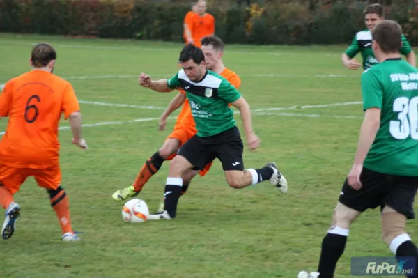 07.11.2015 SV Grün-Weiß Wörlitz vs. Chemie Rodleben II