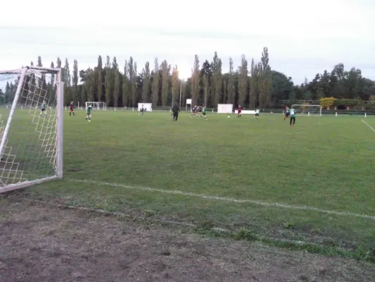 07.10.2016 SGOW AH vs. SV Grün-Weiß Wörlitz (1F)