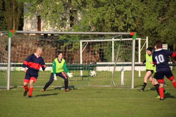 28.04.2017 SV Grün-Weiß Wörlitz (1F) vs. SGOW AH