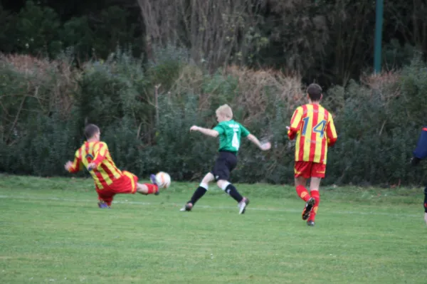 29.11.2015 SV Grün-Weiß Wörlitz vs. ASG Vorwärts Dessau II