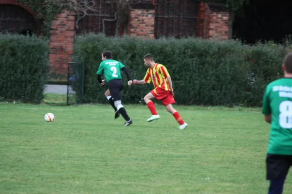 29.11.2015 SV Grün-Weiß Wörlitz vs. ASG Vorwärts Dessau II