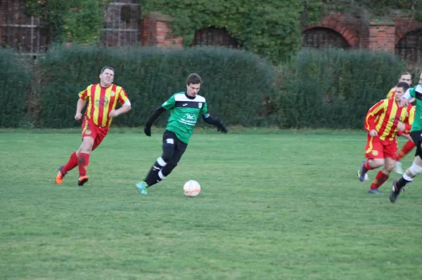 29.11.2015 SV Grün-Weiß Wörlitz vs. ASG Vorwärts Dessau II