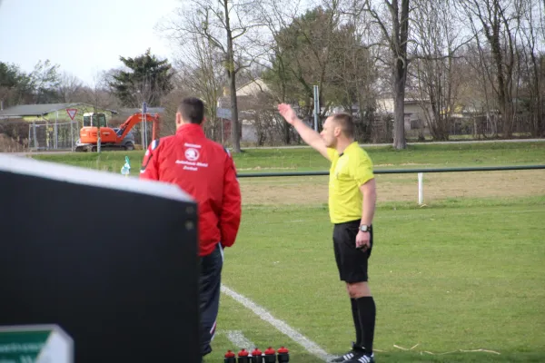 25.03.2017 SV Grün-Weiß Wörlitz vs. TSV Rot-Weiß Zerbst