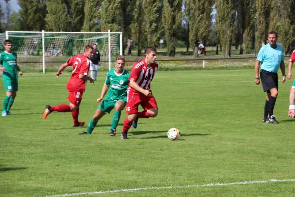 19.08.2017 SV Grün-Weiß Wörlitz vs. SV 1922 Pouch/Rösa