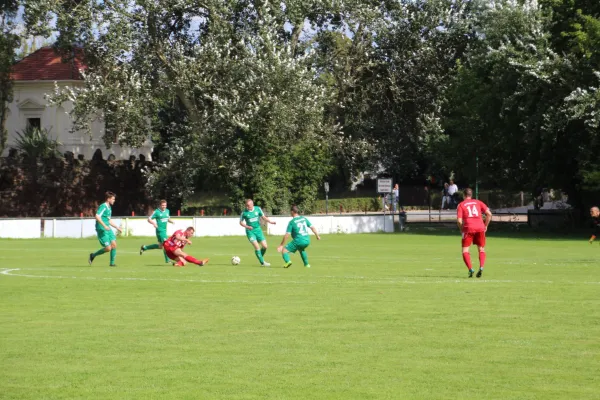 19.08.2017 SV Grün-Weiß Wörlitz vs. SV 1922 Pouch/Rösa