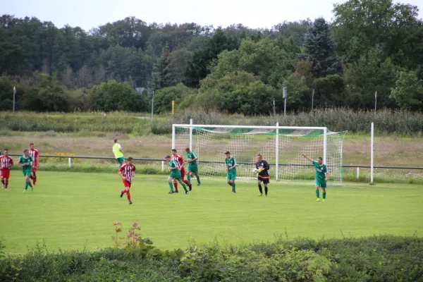 19.08.2017 SV Grün-Weiß Wörlitz vs. SV 1922 Pouch/Rösa