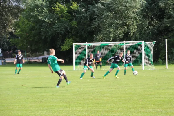 16.09.2017 SV Grün-Weiß Wörlitz vs. SV Friedersdorf