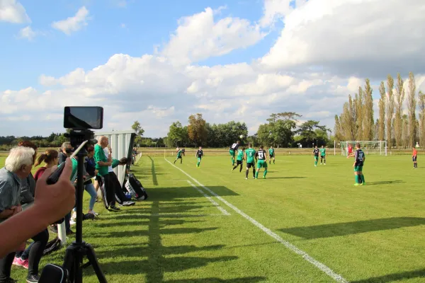 16.09.2017 SV Grün-Weiß Wörlitz vs. SV Friedersdorf